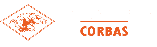 Le club Muscle Fitness Corbas