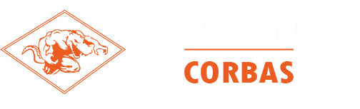Le Club Muscle Fitness Corbas